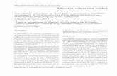 elfosscientiae.cigb.edu.cuelfosscientiae.cigb.edu.cu/PDFs/Biotecnol Apl/1992/9/2/p 166 - 173... · tiempo de examen por cada muestra, 10 que ... El ensayo de hibridación en manchas