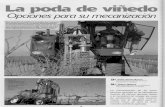 La poda de viñedo - Archivo Digital UPMoa.upm.es/6280/1/Valero_26.pdf · ción de la topografía del terreno y reahzar ... función de la geometría de la vegetación. Este sistema