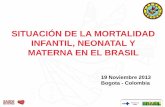 SITUACIÓN DE LA MORTALIDAD INFANTIL, NEONATAL Y …fundacioncanguro.co/wp-content/uploads/2018/02/BRASIL-Paulo... · Davide Rasella PhD,Rosana Aquino MD,Carlos AT Santos PhD,Rômulo