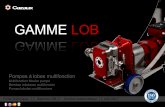 GAMME LOB - cazaux-pumps.com · Por la calidad de su construcción en acero inoxidable 316L Per la qualità della costruzione in acciaio inox 316 L . ... TRÉMIE DE GAVAGE POUR POMPE