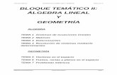 JUAN XXIII CARTUJA MATEMÁTICAS II: ÁLGEBRA LINEAL Y ... · ÁLGEBRA LINEAL Y GEOMETRÍA ALGEBRA TEMA 1 Sistemas de ecuaciones lineales TEMA 2 Matrices TEMA 3 Determinantes TEMA