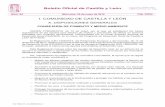 Boletín Oficial de Castilla y León - Agronews Castilla y ... · Pág. 35355 – Apoyar el desarrollo socioeconómico y mantener las fuentes de renta y empleo ... Decreto 887/2006,