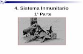 4. Sistema Inmunitario - jamontaraz.files.wordpress.com · 3/4/2018 · Ganglios Linfáticos, Bazo, Tonsilas, Placas de Peyer (yeyuno), Tejido Linfoide Asociado a Mucosas. Células:
