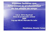 Algunos factores que determinan la productividad de los silajes …agro.unc.edu.ar/~nutri/pdf/Sorgos IV.pdf · Algunos factores que determinan la productividad de los silajes de sorgo