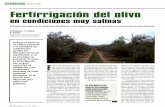 cultivos olivar Fertirrigación del olivo - mapama.gob.es · ampliará a más de 600.000 ha. En consecuencia, los agricultores ... co-arcillosa, con un pH de 7,7 y una conductividad