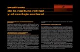 Profilaxis 7 de la ruptura retinal y el cerclaje escleralmedia.axon.es/pdf/78870_2.pdf · de la ruptura retinal y el cerclaje escleral PREVENCIÓN DEL DESPRENDIMIENTO ... desprendimiento