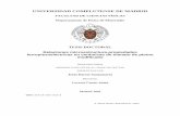 UNIVERSIDAD COMPLUTENSE DE MADRID - eprints.ucm.eseprints.ucm.es/1924/1/T19534.pdf · Este trabajo ha sido realizado en la U.E.!. de Materiales Ferroeléctricos del Instituto de Ciencia
