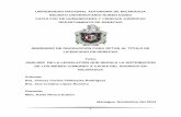 UNIVERSIDAD NACIONAL AUTONOMA DE NICARAGUA …repositorio.unan.edu.ni/469/1/54653.pdf · produce una equitativa distribución de bienes en la disolución del vínculo ... Matrimonio
