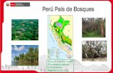 Perú País de Bosques - minam.gob.pe · Problemas sustantivos: deforestación y degradación ... Extractivas Agricultura / ganadería Bosques Alineamiento de Políticas (incluyendo