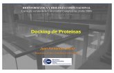 Docking de Proteínas - ubio.bioinfo.cnio.esubio.bioinfo.cnio.es/Cursos/cursoVerano2008/documentos/protein... · Curso de verano de la Universidad Complutense (Julio 2008) Docking