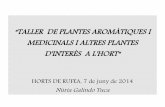“TALLER DE PLANTES AROMÀTIQUES I MEDICINALS I …urbanisme.paeria.cat/sostenibilitat/fitxers/agenda-21-escolar-1/... · “taller de plantes aromÀtiques i medicinals i altres