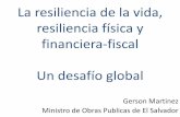 La resiliencia de la vida, resiliencia física y financiera-fiscal Un … · 2018-03-15 · erosivos y conducción de aguas lluvias ... y solución de problemas derivados del impacto