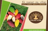 Brochure Cacao Vital boceto - buscaempresas.co · en el cuerpo humano cuando se consume cacao crudo como son los bombones de cacao de la marca Cacao Vital. ... cacao 100% puro tratado