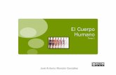 El Cuerpo Humano - Gobierno de Canarias · vivas. Es decir, realizan las ... Diferencias entre célula . ... y la célula animal no los posee por lo tanto no puede realizar el