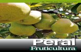 Peral - quatrebcnquatrebcn.es/sites/default/files/downloads_plus/rf45_peral... · postcosecha de pera ‘Rocha’ ... 124 COMERCIO INTERNACIONAL Comercio internacional de la pera