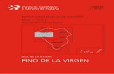 Cubierta 1083-III Pino de la Virgen - info.igme.esinfo.igme.es/cartografiadigital/datos/magna50/memorias/MMagna1083... · 3 La hoja geológica a escala 1/25:000 y geomorfológica