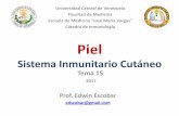 Sistema Inmunológico Cutáneo · Piel de Ratón b. Piel Humana ... Ontogenia de las Células Dendríticas de Piel ... Participación de Linfocitos T EM y T CM . 1 3 Patógeno Bacteriano