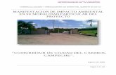 “COMURBISUR DE CIUDAD DEL CARMEN, CAMPECHE”.sinat.semarnat.gob.mx/dgiraDocs/documentos/camp/estudios/2009/04CA... · El presente se pretende establecer dentro de un ecosistema