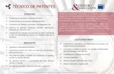 TÉCNICO DE PATENTES Redacción de patentes e informes técnicos. Realizaciones de búsquedas patentes/diseños.