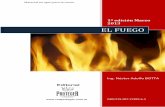 Módulo 1: El Fuego - Red Proteger® es la Web Site del · delante de cada morada un ídolo que representaba a Nour, el autor del fuego. El tercer discípulo, dirigiéndose a los