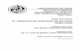 EL PRINCIPIO DE IGUALDAD EN MATERIA TRIBUTARIAruja.ujaen.es/bitstream/10953/723/1/9788416819065.pdf · A. Recopilación sintetizada de la Jurisprudencia constitucional dictada en