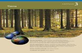 C A P Í T U L O Tierra - Portal Institucional e ...FILE/Parte1_cap-3.pdf · forestales o reclamación de tierras (Lambin y Meyfroidt 2010; Nepstad et ál. 2009; Bai et ál. 2008)