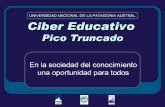 UNIVERSIDAD NACIONAL DE LA PATAGONIA AUSTRAL Ciber … · Cada CIBER EDUCATIVO ejecuta un Proyecto de Inclusión Digital, por lo que son centros de integración positiva y calificada