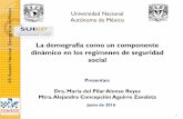 La demografía como un componente dinámico en los regímenes ... · XIII Reunión Nacional Demográfica en México La demografía como un componente dinámico en los regímenes de