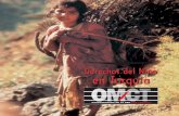 Derechos del Niño en Turquía - World Organisation ... · En sus informes relativos a los derechos del niño, ... prueba irrefutable de que no se protege a los niños adecuadamente