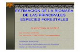 2003 12 ESTIMACIÓN DE LA BIOMASA DE LAS PRINCIPALES ... · Establecer el balance neto de biomasa para las principales especies forestales. ESPECIES Nº de especies a las cuales afectará