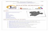 BOLETÍN SEMANAL GJ - cjcyl.esn de Empleo Valladolid 26-10-2018... · Ayudante de camarero AYUDANTE DE COCINA Ayudante de Dependiente/a Sector Textil Hogar BECA 6 MESES Ingeniero