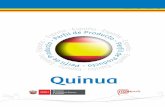 Quinua - mincetur-espana.g7.pemincetur-espana.g7.pe/images/files/pdf/pp8.pdf · 6 uinua ÍNDICE ESPAÑA 7 La quinua es un producto que está aumentando su presencia en España. Las