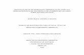 IDENTIFICACIÓN DE DETERMINANTES AMBIENTALES EN …tesis.udea.edu.co/dspace/bitstream/10495/5748/1/JaramilloMaria_2016... · Metodología ... Conclusiones del EIA de la Conexión