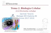 Tema 2. Biología Celular - dpbiologia.weebly.comdpbiologia.weebly.com/uploads/2/1/5/5/21553524/gtp_t2.biología... · tienen lugar muchos procesos en el núcleo y en el citoplasma,