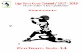 Organizador, Liga Tenis Copa Carayol - Escuela de tenis ...carayoltennisteam.com/wp-content/uploads/REGLAMEMTO-PROTEAM-17-18... · ... Todos los partidos se deberán de jugar en ...