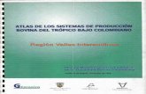 ATI AS DE LOS SISTEMAS DE PRODUce*' BOVINA DEL …bibliotecadigital.agronet.gov.co/bitstream/11348/3940/1/045.1.pdf · • Sistemas de producción bovina 4. GLOSARIO DE TERMINOS ...