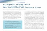 Ecografía abdominal en el diagnóstico del síndrome de Budd …aeeh.es/wp-content/uploads/2012/05/v5n5a356pdf001.pdf · Ecografía abdominal en el diagnóstico del síndrome de