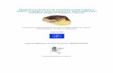MAN-A2-06 - Plan de Conservación tortuga - cetaceos.com · migratoria, como a la escala temporal que determina su extraordinaria historia natural. ... accidentales de la tortuga
