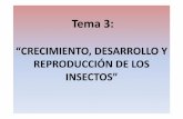 Tema 2. Metamorfosis [Modo de compatibilidad] - selvicultura · •Estadio: fase de desarrollo en la que el insecto tiene la misma apariencia durante toda la fase o fase de desarrollo