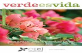 verdeesvida - Vivero de Plantas · Tiesto+semillas+sustrato Los nuevos ‘kits’ de huerto urbano lo ponen (todavía) más fácil La revista de la Asociación Española de Centros