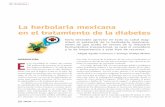 La herbolaria mexicana en el tratamiento de la diabetes · ra médica popular, y de manera más paulatina en la medicina tradicional indígena. ... La herbolaria mexicana representa