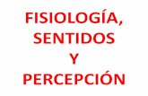 FISIOLOGÍA, SENTIDOS Y PERCEPCIÓNlalechuzademinerva.es/wp-content/uploads/2016/10/PRESENTACIÓNTEMA... · UMBRALES Absoluto mínimo cantidad de estímulo para comenzar a percibir.
