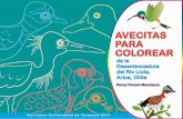 Ediciones Universidad de Tarapacá 2017 - sb.uta.clsb.uta.cl/libros/39582 AVES PARA PINTAR.pdf · ... la belleza como parte de la historia natural de la ... Gallinazo, presenta ...