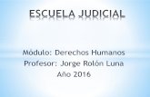 Módulo: Derechos Humanos Profesor: Jorge Rolón Luna Año 2016 · *La Declaración de 1948 fue el primer paso hacia la formulación de una Carta Internacional de Derechos Humanos,