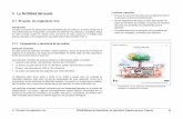 3 La fertilidad del suelo Lecciones a aprender: El suelo ...sipan.inta.gob.ar/productos/ssd/vc/add/Manuales/IFOAM-organicos/... · meteorización. Las raíces y algunos microorganismos