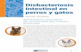 IMPORTANCIA FISIOLÓGICA DEL ECOSISTEMA BACTERIANO INTESTINAL · intestinal y la actividad antibacteriana del jugo pancreático limitan el ... truye directamente las bacterias que