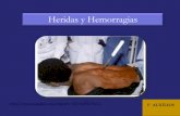 Heridas y Hemorragias - ceaer.edu.arceaer.edu.ar/wp-content/uploads/2018/04/Heridashemorragias.pdf · Actuación general ante heridas ... permitir la transpiración, costuras planas