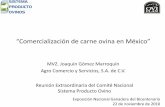 “Comercialización de carne ovina en México”spo.uno.org.mx/wp-content/uploads/2011/03/jgm_comerdelacarne.pdf · sacrificio de la producción nacional con un impacto positivo