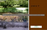 PLAN ESTRATÉGICO DEL CASTAÑAR · La puesta en valor del castañar andaluz ha formado parte de la política forestal andaluza desde la redacción del Plan Forestal y ha constituido