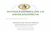 AUTOLESIONES EN LA ADOLESCENCIA - uvadoc.uva.esuvadoc.uva.es/bitstream/10324/30252/1/TFG-M-M1124.pdf · Las autolesiones sin finalidad suicida, tal y como lo definen los investigadores